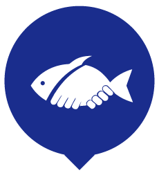 Ocean Ecology Logo