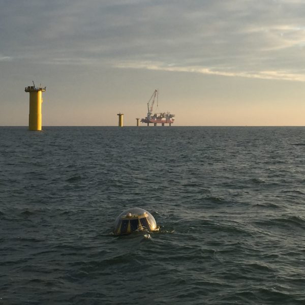 Metocean buoy offshore wind
