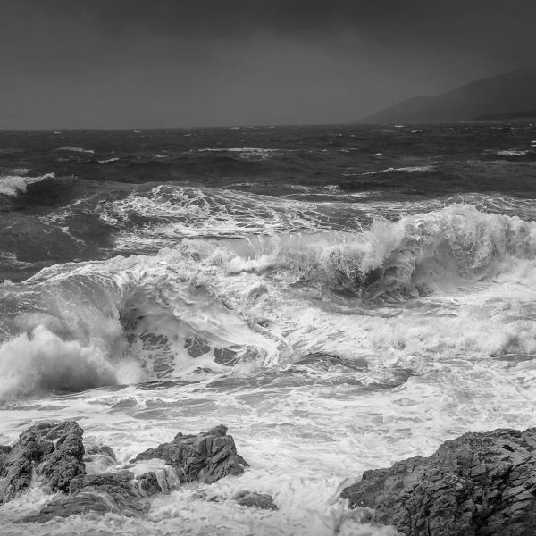 Expert Witness Sea