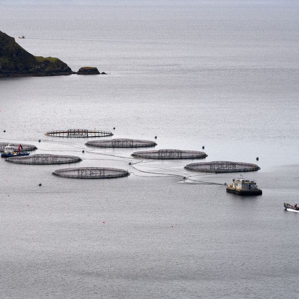 Sea Farm